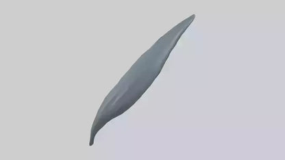 3D model Dolphin Tail Model VR / AR / low-poly