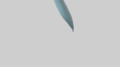 3D model Dolphin Tail Model VR / AR / low-poly