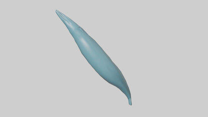3D model Dolphin Tail Model VR / AR / low-poly