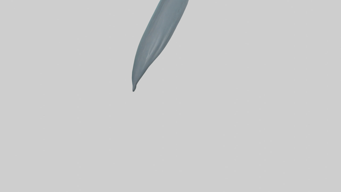 3D model Dolphin Tail Model VR / AR / low-poly