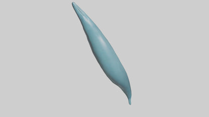 3D model Dolphin Tail Model VR / AR / low-poly