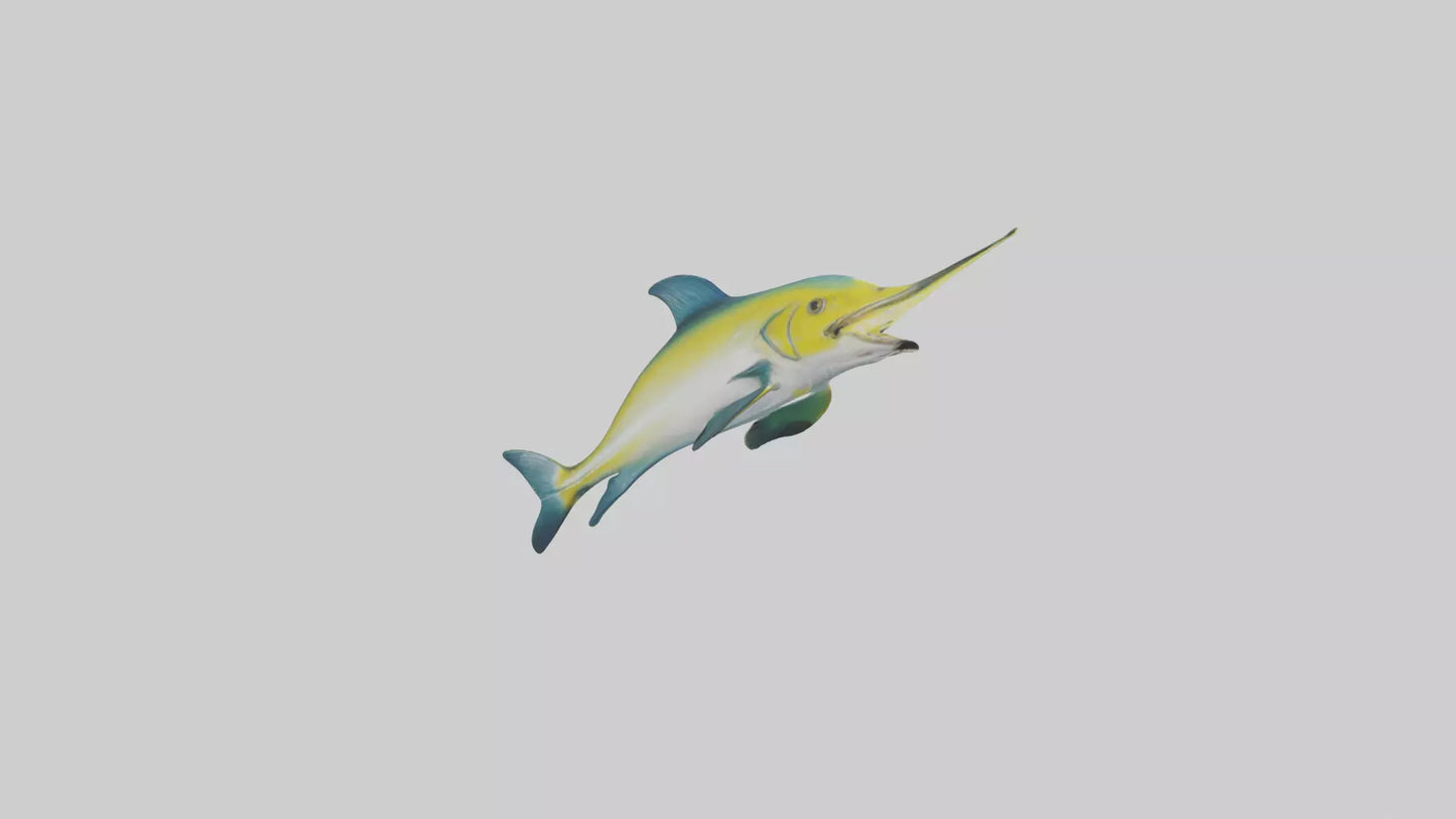 3D model Dolphinfish leaping model VR / AR / low-poly