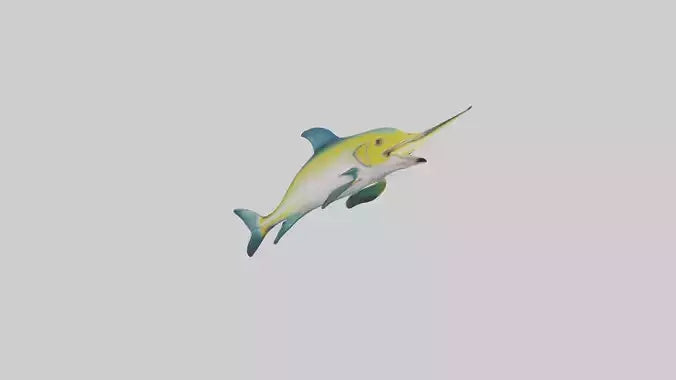 3D model Dolphinfish leaping model VR / AR / low-poly