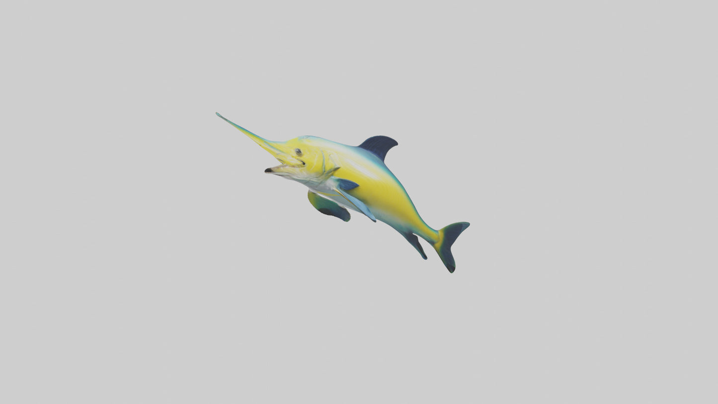 3D model Dolphinfish leaping model VR / AR / low-poly