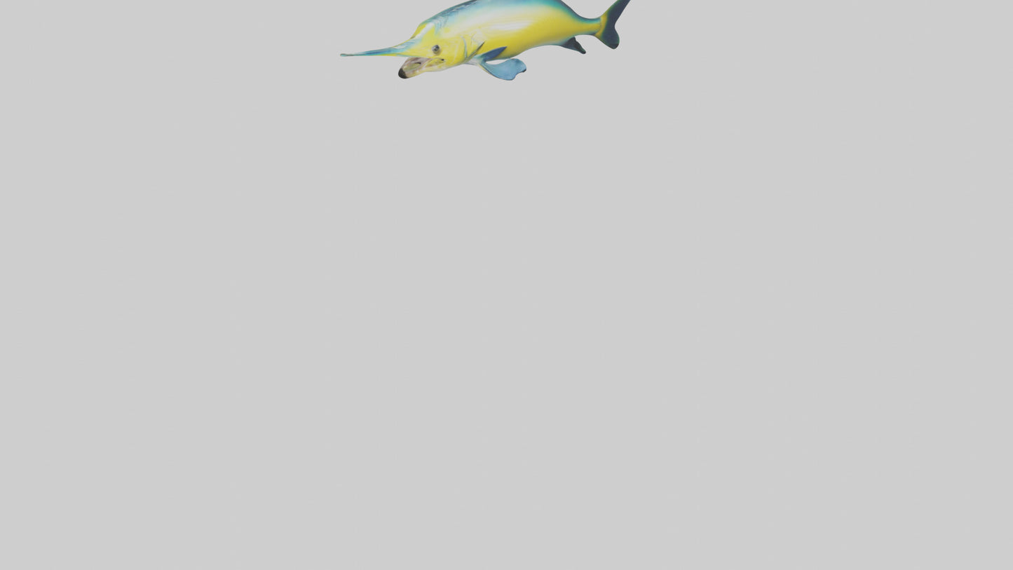 3D model Dolphinfish leaping model VR / AR / low-poly