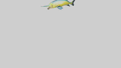 3D model Dolphinfish leaping model VR / AR / low-poly