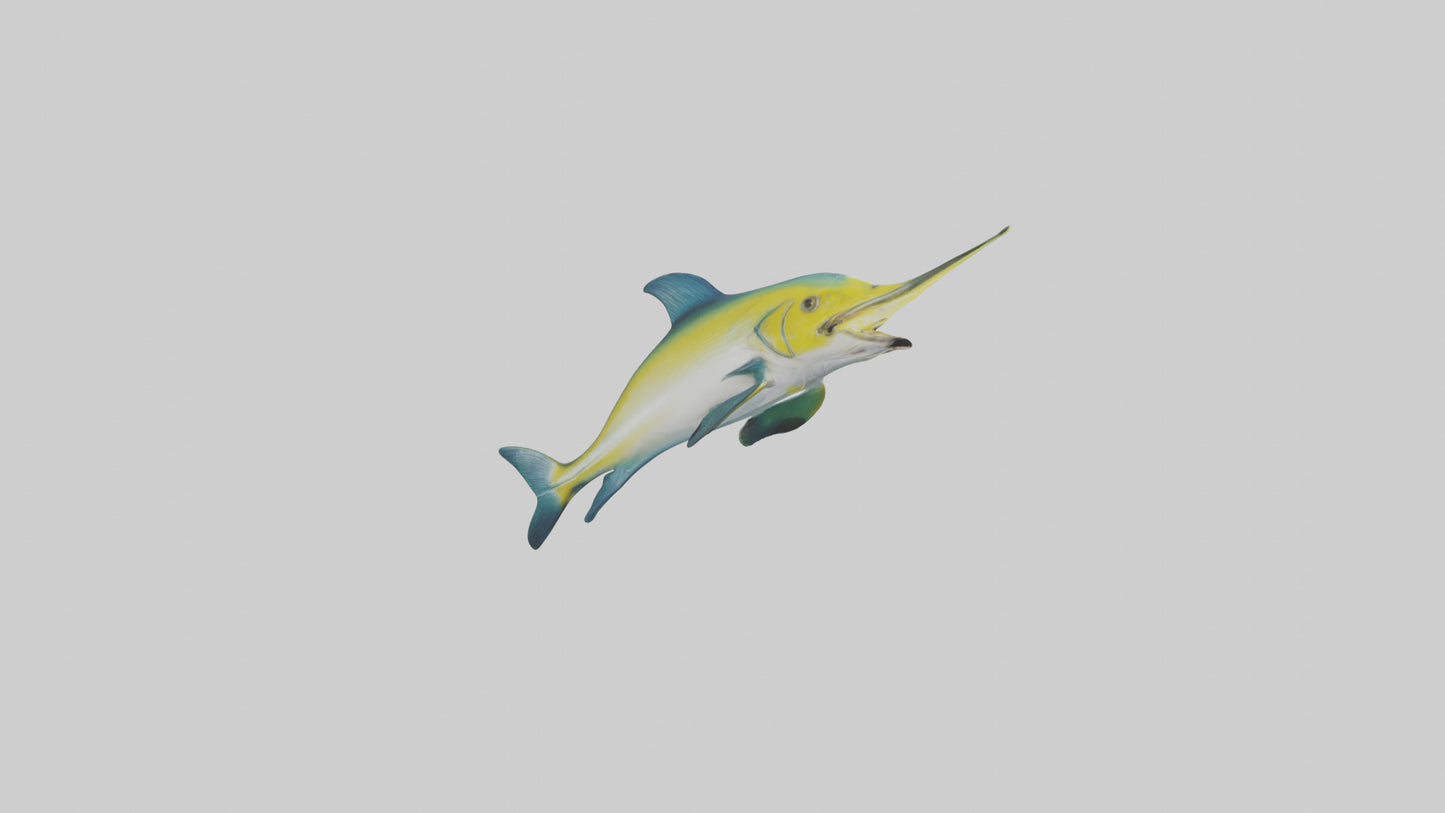 3D model Dolphinfish leaping model VR / AR / low-poly