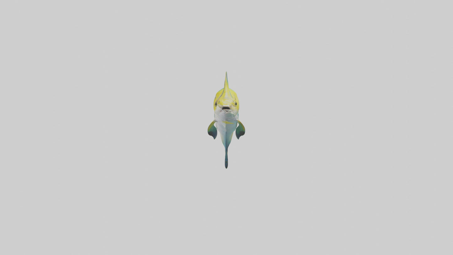 3D model Dolphinfish leaping model VR / AR / low-poly