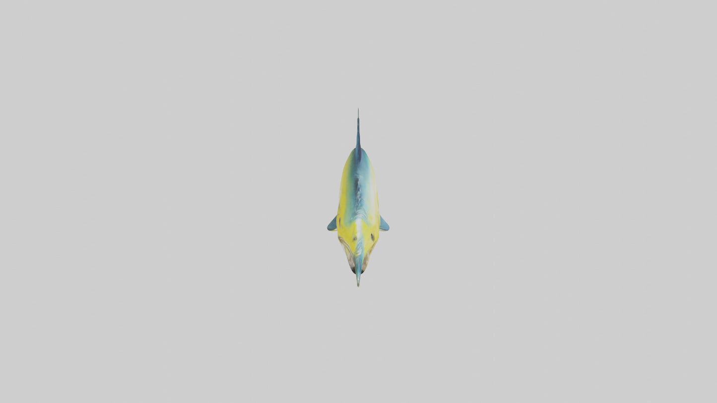 3D model Dolphinfish leaping model VR / AR / low-poly