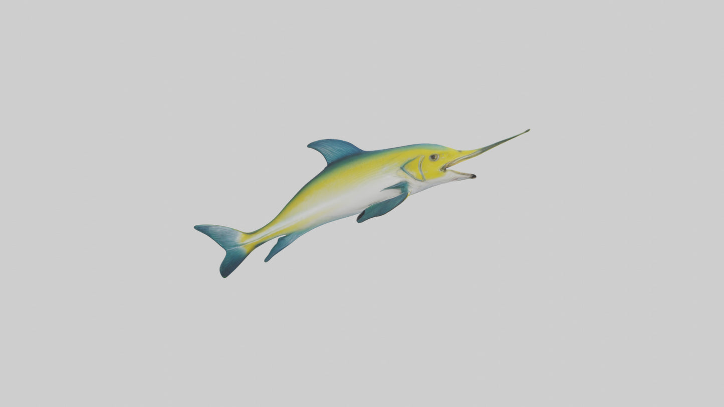 3D model Dolphinfish leaping model VR / AR / low-poly