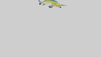3D model Dolphinfish leaping model VR / AR / low-poly