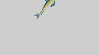 3D model Dolphinfish leaping model VR / AR / low-poly
