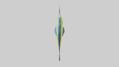 3D model Dolphinfish leaping model VR / AR / low-poly