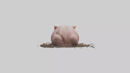 Domesticated Pig sleeping model 3D model