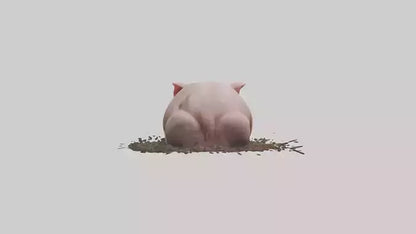Domesticated Pig sleeping model 3D model