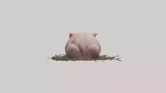 Domesticated Pig sleeping model 3D model