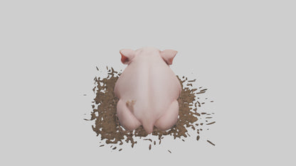 Domesticated Pig sleeping model 3D model