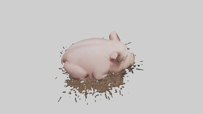 Domesticated Pig sleeping model 3D model