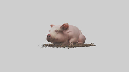 Domesticated Pig sleeping model 3D model