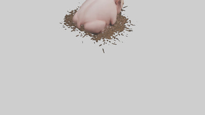 Domesticated Pig sleeping model 3D model