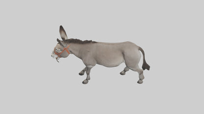 Donkey braying model 3D model
