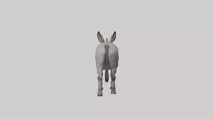 Donkey braying model 3D model