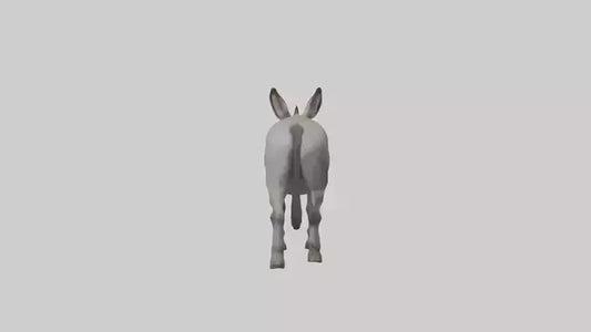 Donkey braying model 3D model