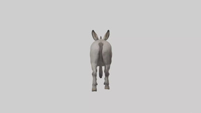 Donkey braying model 3D model