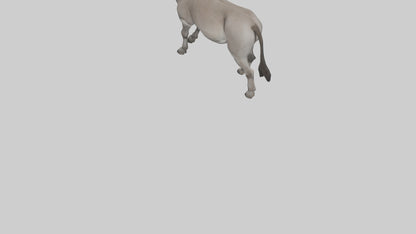 Donkey braying model 3D model