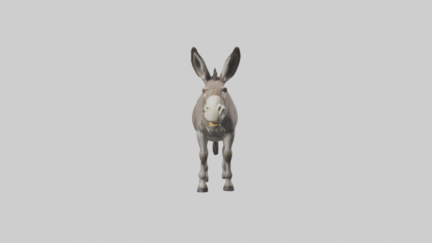Donkey braying model 3D model