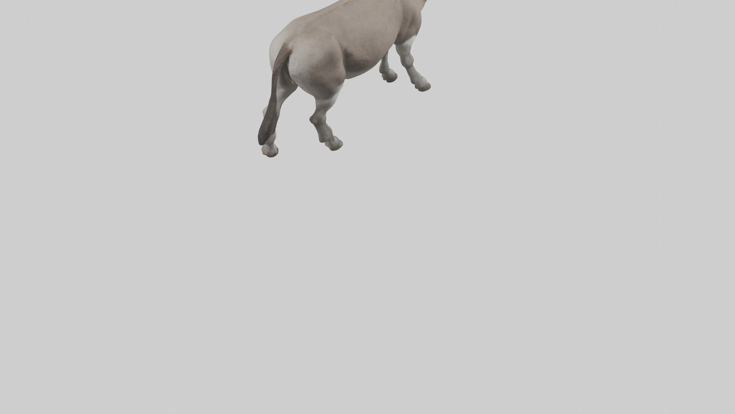 Donkey braying model 3D model