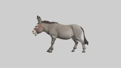 Donkey braying model 3D model