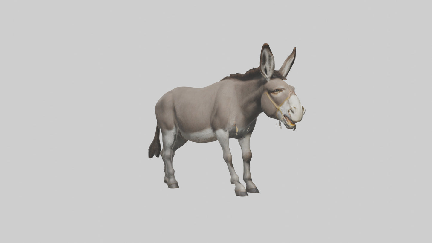 Donkey braying model 3D model