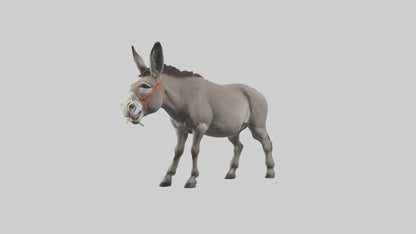 Donkey braying model 3D model
