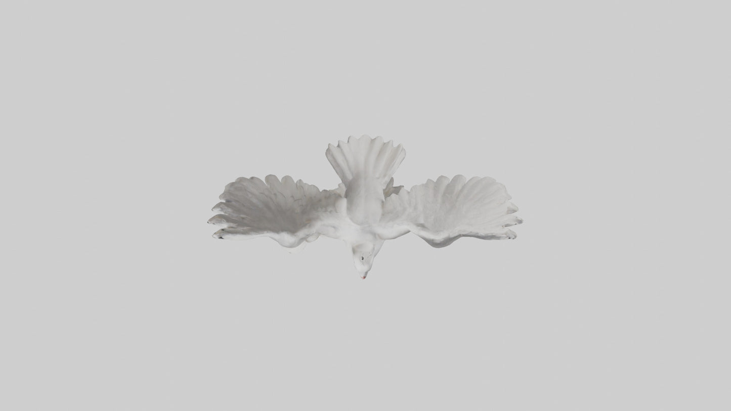 Dove of Peace statue model 3D model