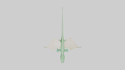 Draco Lizard gliding model VR / AR / low-poly