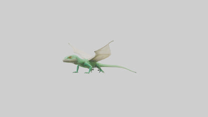 Draco Lizard gliding model VR / AR / low-poly