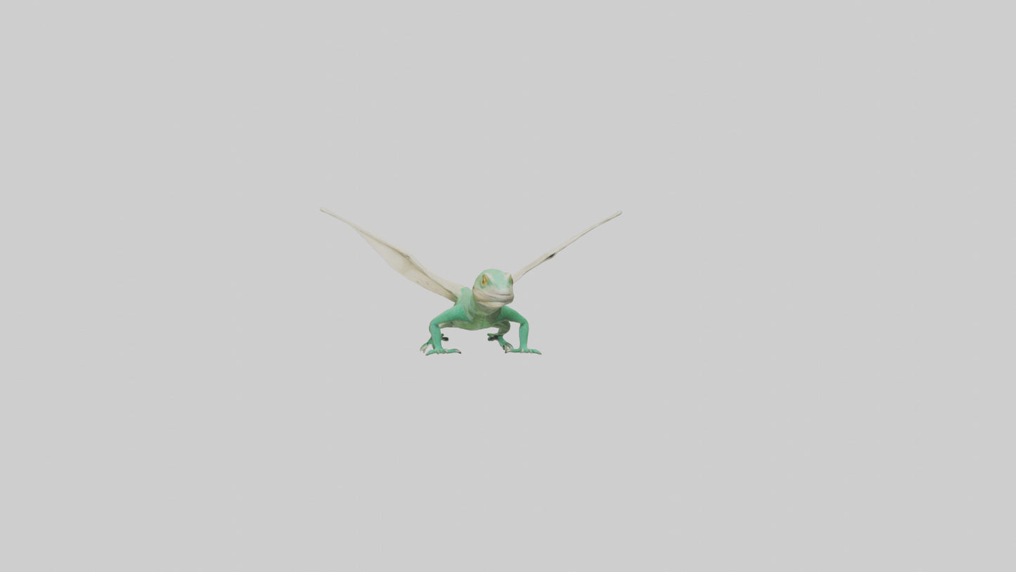 Draco Lizard gliding model VR / AR / low-poly