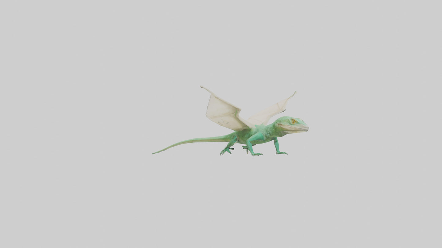 Draco Lizard gliding model VR / AR / low-poly