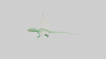 Draco Lizard gliding model VR / AR / low-poly