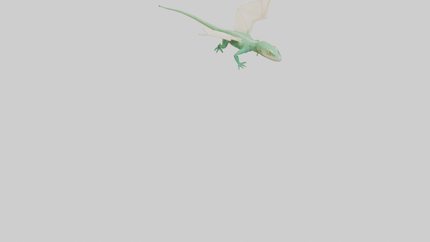 Draco Lizard gliding model VR / AR / low-poly