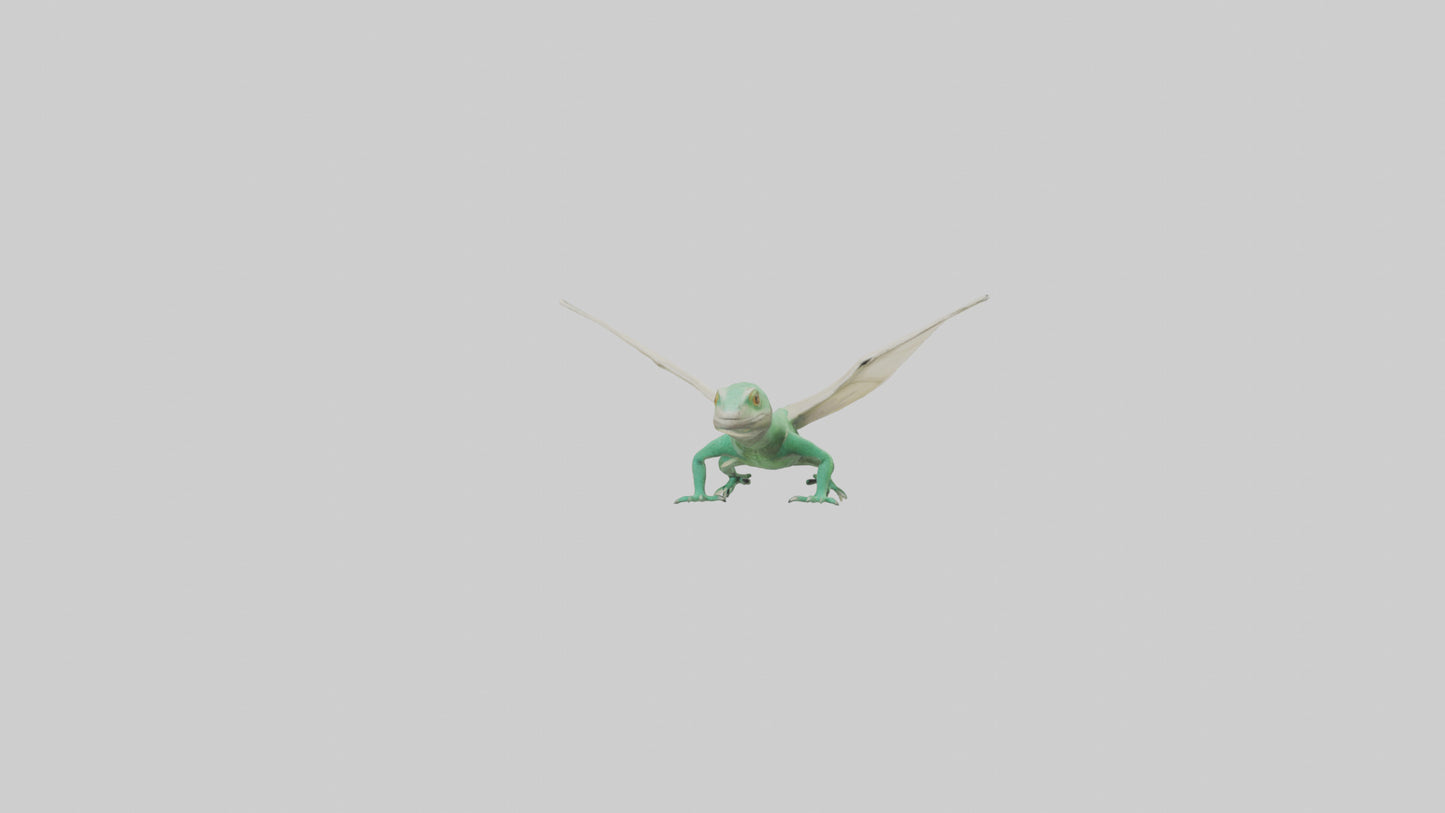 Draco Lizard gliding model VR / AR / low-poly