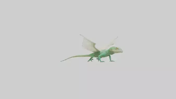 Draco Lizard gliding model VR / AR / low-poly