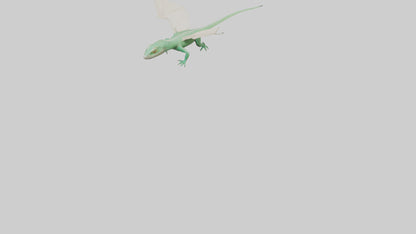 Draco Lizard gliding model VR / AR / low-poly