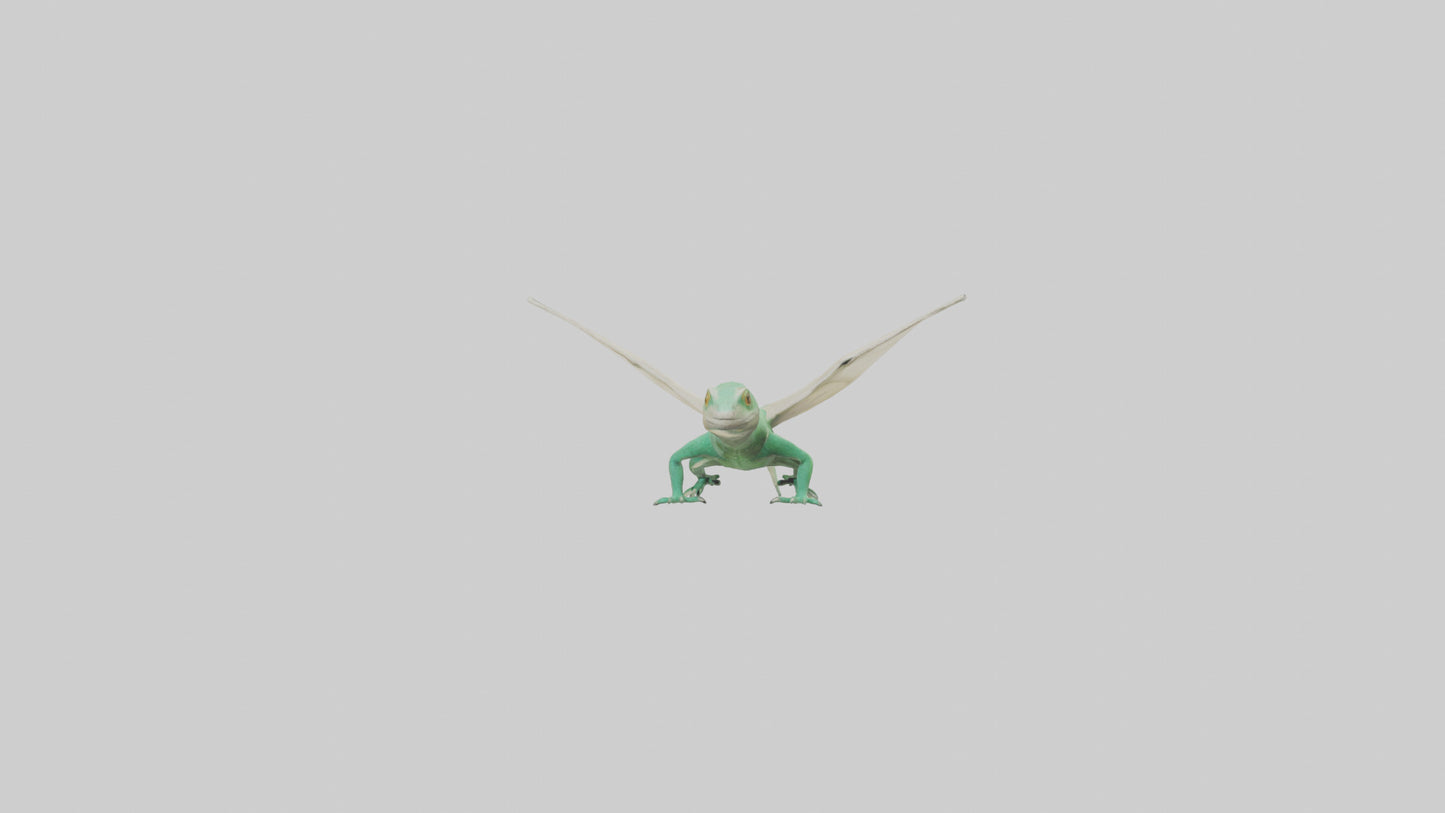 Draco Lizard gliding model VR / AR / low-poly