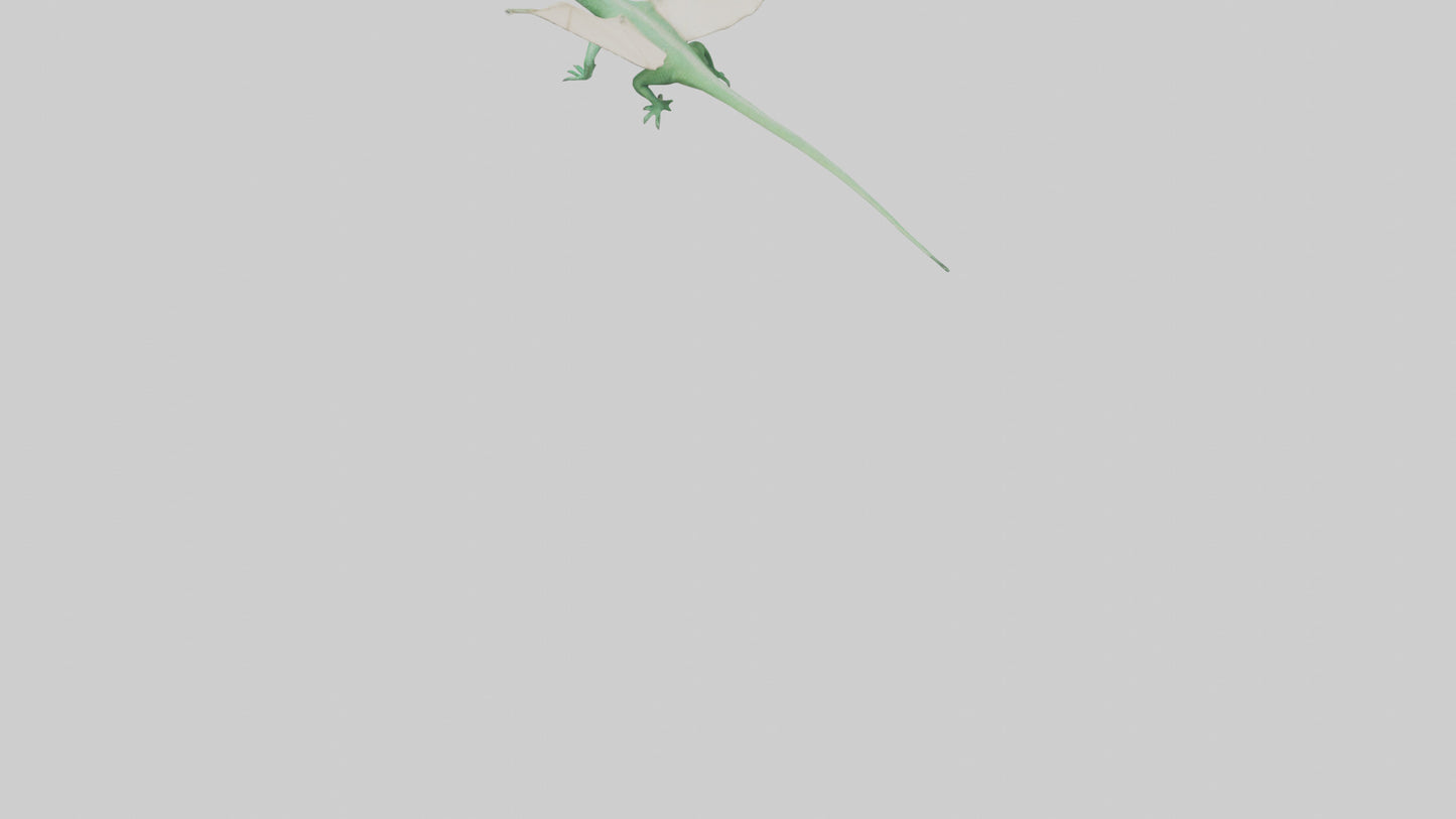 Draco Lizard gliding model VR / AR / low-poly