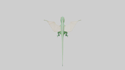 Draco Lizard gliding model VR / AR / low-poly