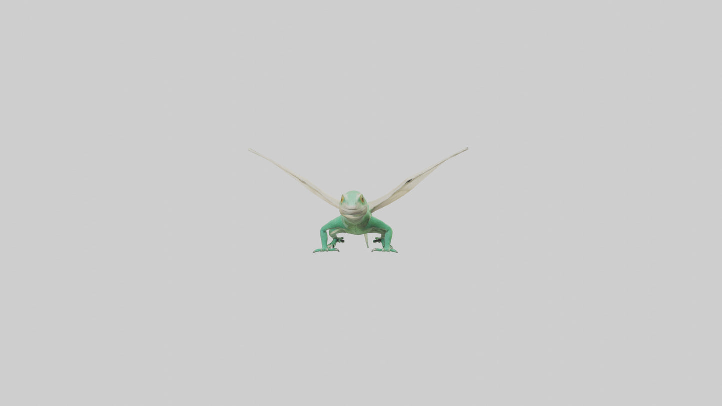 Draco Lizard gliding model VR / AR / low-poly