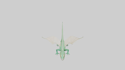 Draco Lizard gliding model VR / AR / low-poly