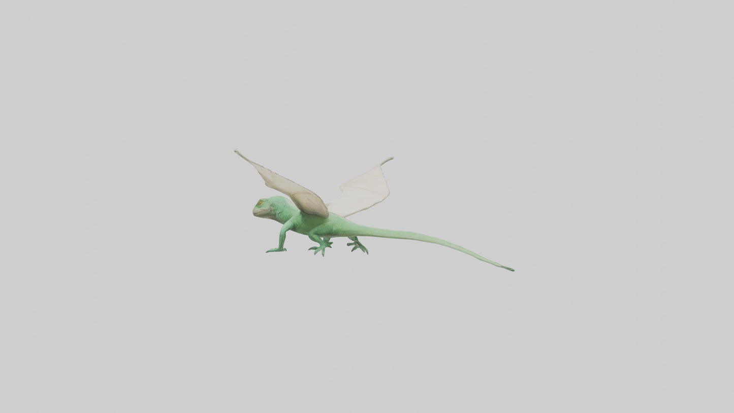 Draco Lizard gliding model VR / AR / low-poly